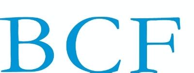 BCF Solutions, Professional Engineering Services, Government, .